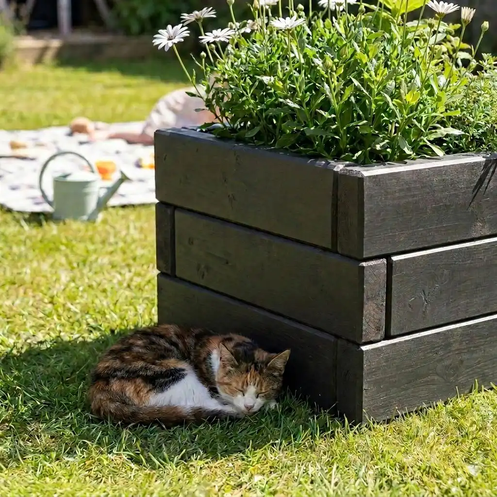 kingsbury-dark-oak-square-planter-daisies-sleeping-cat-lawn-1789491641404.webp